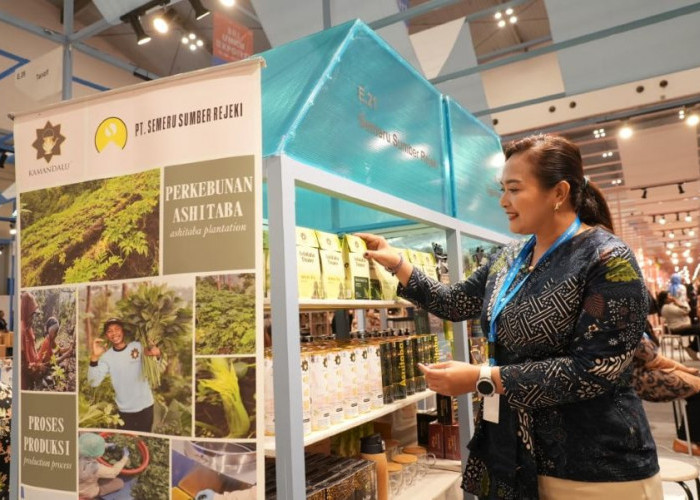 UMKM Herbal di Persimpangan Digital, Bertahan atau Tertinggal? Ini Temuan Riset Terbaru