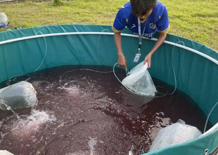 Kolam Bioflok hingga Tahu Bakso Nila, Mahasiswa Unair Berdayakan Warga Trawas Mojokerto Lewat Program ECOFISH