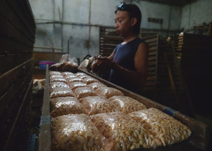 Perajin Tempe di Mojokerto Menjerit, Harga Kedelai Impor Naik Hingga Rp 9.600 Per Kg