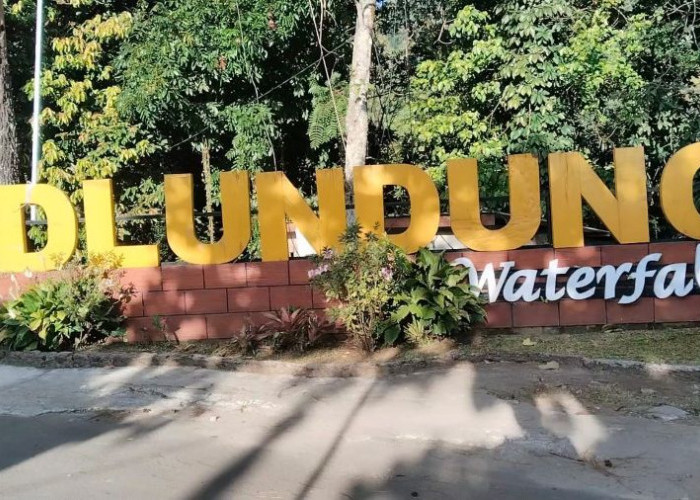 Air Terjun Dlundung Lukisan Alam, yang Menyejukkan Jiwa