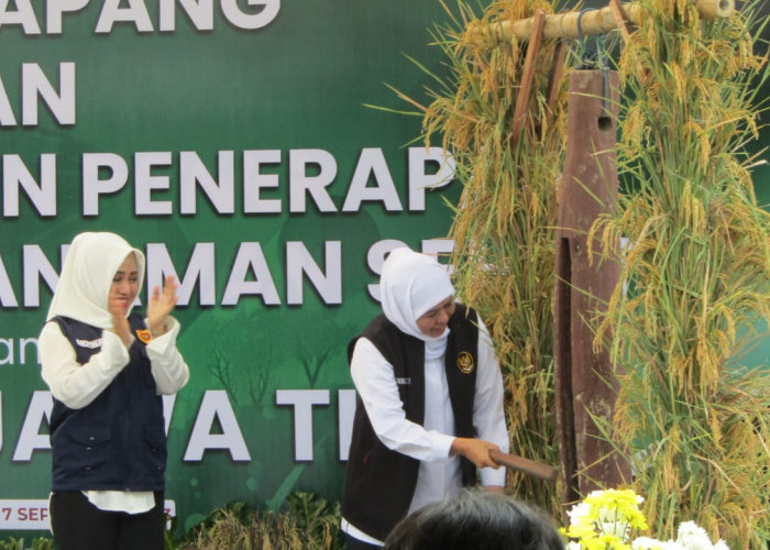 Manajemen Tanaman Sehat di Mojokerto, Gubernur Jatim Ajak Pertanian Jawa Timur ke Arah Lebih Baik