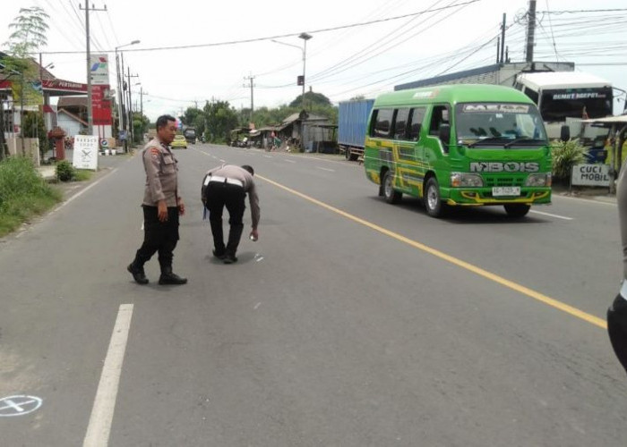 Tabrak Truk Parkir di Mojokerto, Pemotor Asal Sidoarjo Tewas 