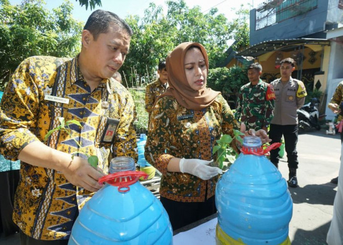 Cabai Jadi Senjata Lawan Inflasi, Pemkot Mojokerto Ajak Warga Tanam dari Pekarangan
