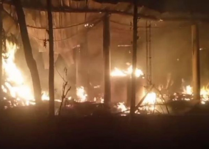 Kandang Ternak di Gondang Mojokerto Ludes Terbakar, 1 Ekor Sapi Tewas dan 3 Luka Bakar