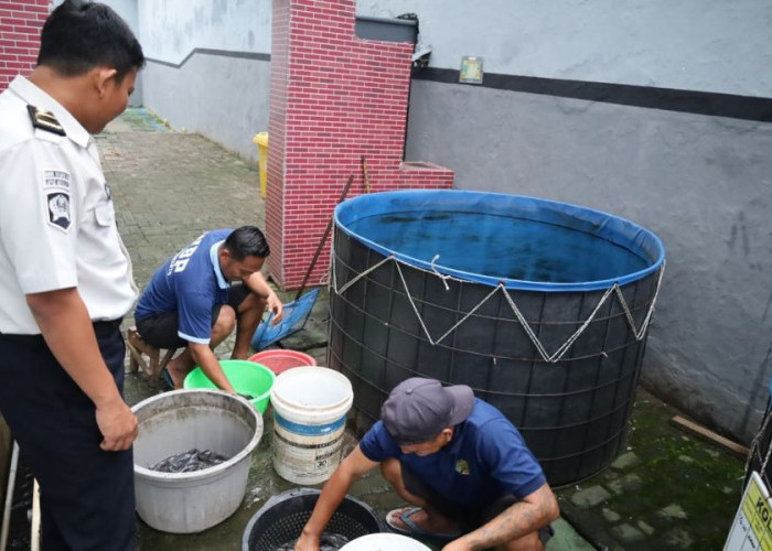 Bekali Warga Binaan Keterampilan Usaha, Lapas Mojokerto Intensifkan Penyortiran Benih Lele