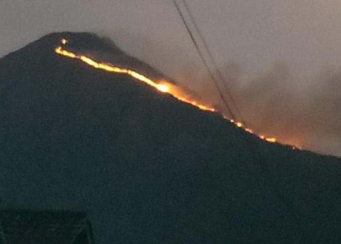 Dampak Kebakaran, Jalur Pendakian Gunung Penanggungan Ditutup Sementara