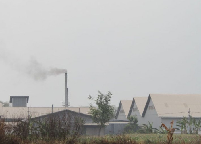 Perusahaan di Mojokerto Terancam Kena Sanksi Jika Tak Bayarkan UMK 2026 Sesuai Ketentuan