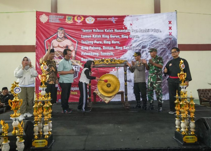 650 Orang Ikuti Kejuaraan Pencak Silat Amukti Palapa Championship 2025