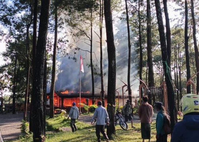 Kafe di Hutan Pinus Pacet Mojokerto Ludes Dilalap Si Jago Merah