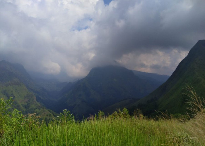 Bukit Cendono di Mojokerto Kembali Dibuka untuk Pendaki Usai Kebakaran Gunung Biru Padam