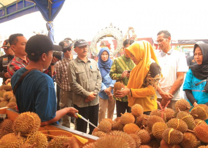 Suka Durian? Langsung Saja ke Paseban Agung,  SerbuTrawas Bazar Durian 