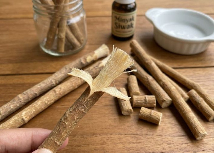 Inovasi Pasta Gigi BHA dan Siwak, Harapan Baru Tanpa Fluorida untuk Gigi Lebih Sehat