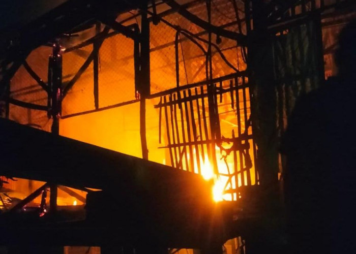 Kandang Ternak Ayam di  Ngoro Mojokerto Terbakar, Dua Unit PMK Dikerahkan