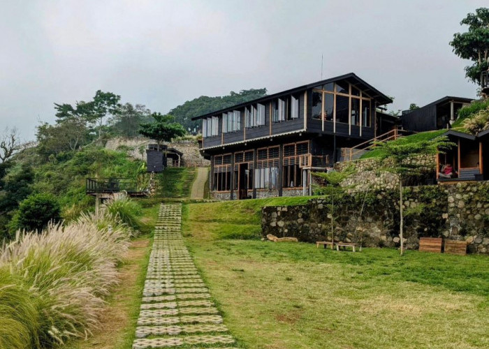 Sensasi Ngopi di Atas Awan dengan 'Vibe'  Peternakan Modern