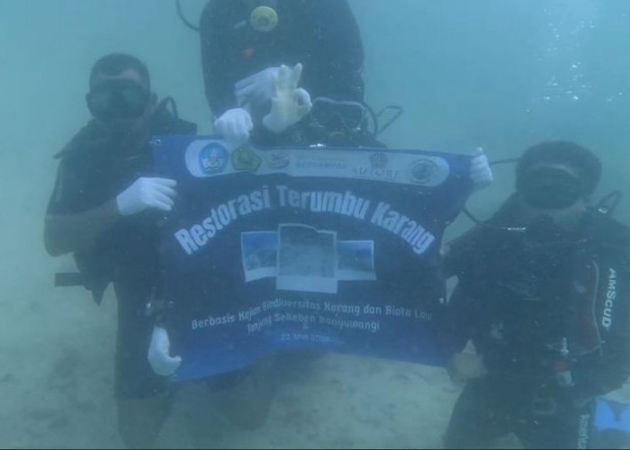 Dua Bulan Direstorasi, Terumbu Karang Banyuwangi Mulai Hidup Kembali, Ikan Berdatangan