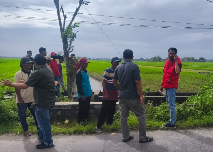 Banjir Rendam Ratusan Hektare Sawah, Ama Siswanto Dorong Kaji Ulang Pendirian Pabrik