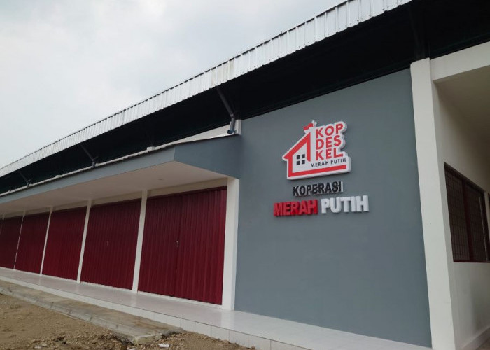 Penugasan PPPK Penuh atau Paruh Waktu ke KDKMP, Pemkab Mojokerto Masih Petakan