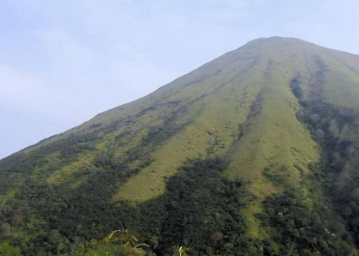 Gunung Penanggungan Mojokerto Rawan Terjadi Karhutla saat Kemarau, Pengawasan Diperketat