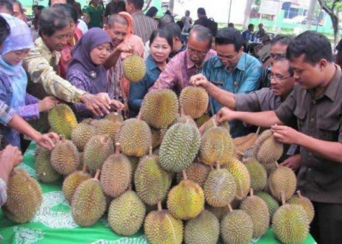 Kauje Mojokerto Raya Gelar Pesta Durian Ala Kauje,  Pemersatu Alumni yang Berserakan