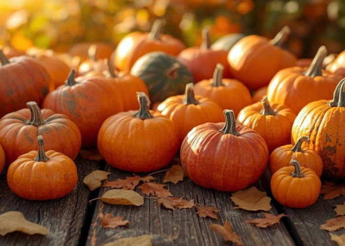 Labu, Superfood Favorit Nabi Muhammad SAW yang Bisa Menenangkan Hati dan Jaga Kesehatan Tubuh