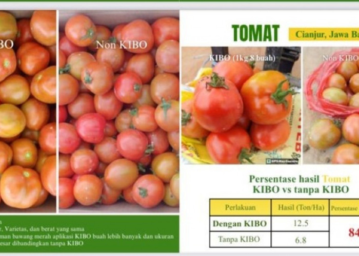 Pupuk Hayati, Salah Satu Pilihan dalam Program Ketahanan Pangan