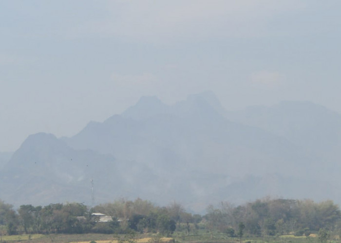 Gugusan Gunung Anjasmoro di Mojokerto Kembali Terbakar