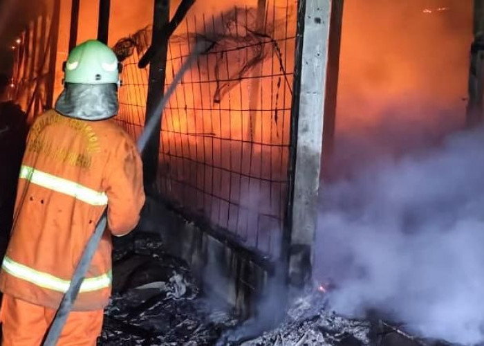 Kandang Ayam di Kemlagi Mojokerto Terbakar, Dua Unit Damkar Dikerahkan