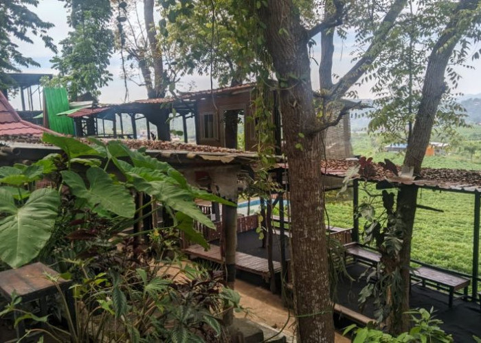 Laverde Kafe, Ngopi Asyik dengan Pemandangan Sawah Trawas, Mojokerto