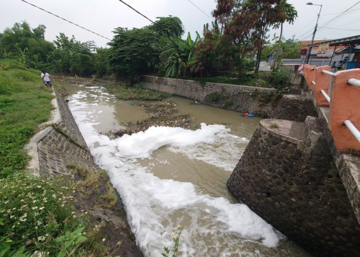 Sungai di Pungging Mojokerto Mendadak Dipenuhi Busa Putih