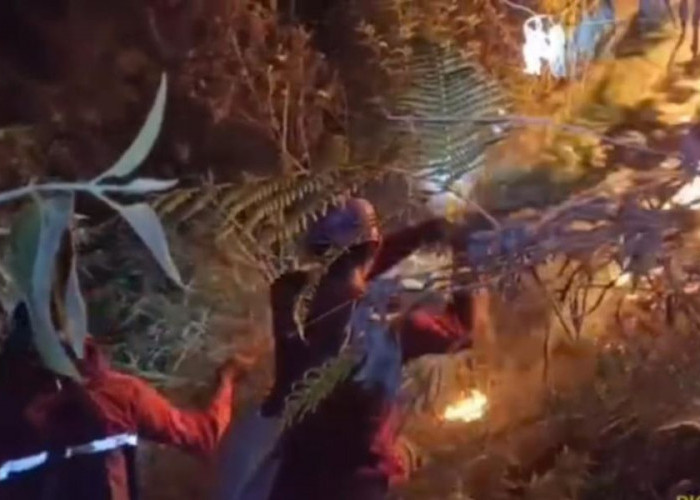 Karhutla Kembali Membakar Pegunungan Anjasmoro, Api Merambat hingga Gunung Piramid