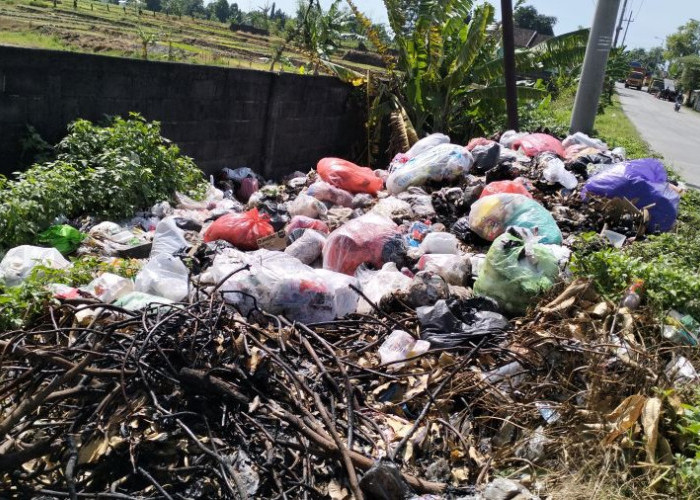 Bau Menyengat dari Sampah Liar di Pungging Ganggu Pengguna Jalan, DLH Buka Suara