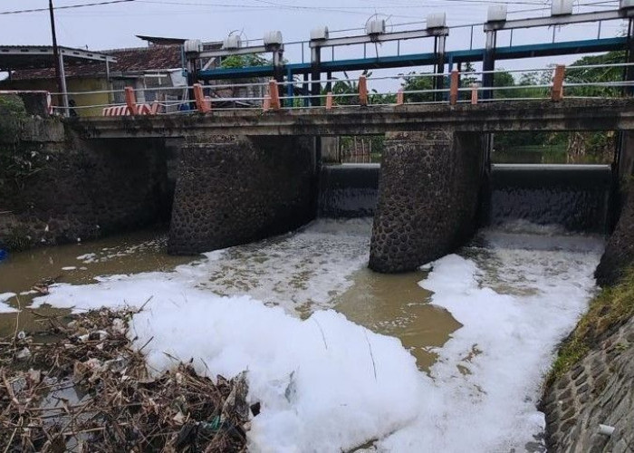 Sungai di Pungging Mojokerto Berbusa Putih, DLH Lakukan Penelusuran