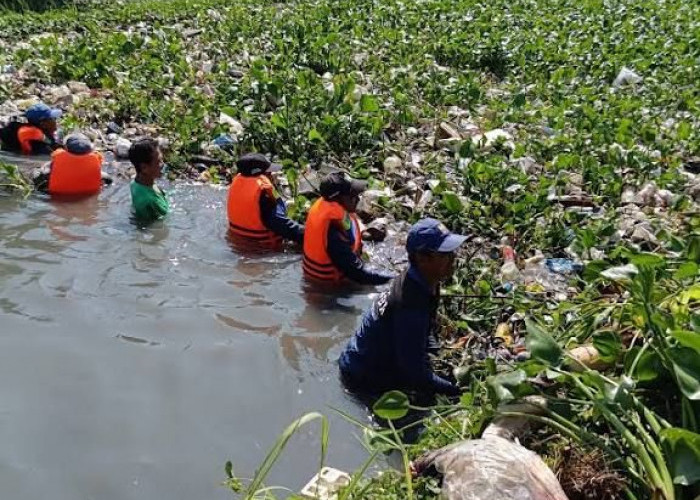 Eceng Gondok Tak Lagi Musuh, Kini Dilirik sebagai Teknologi Pengolah Limbah Ramah Lingkungan