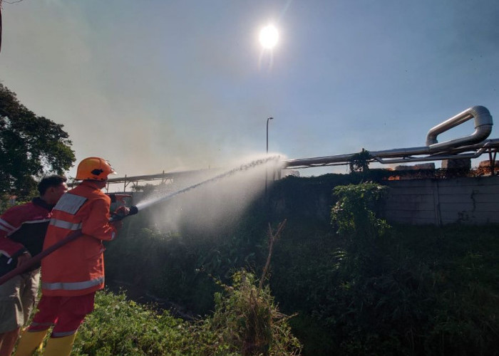 Kebakaran Lahan Merembet ke Pabrik Tisu SPS Mojokerto, Tumpukan Waste Paper Dilalap Api