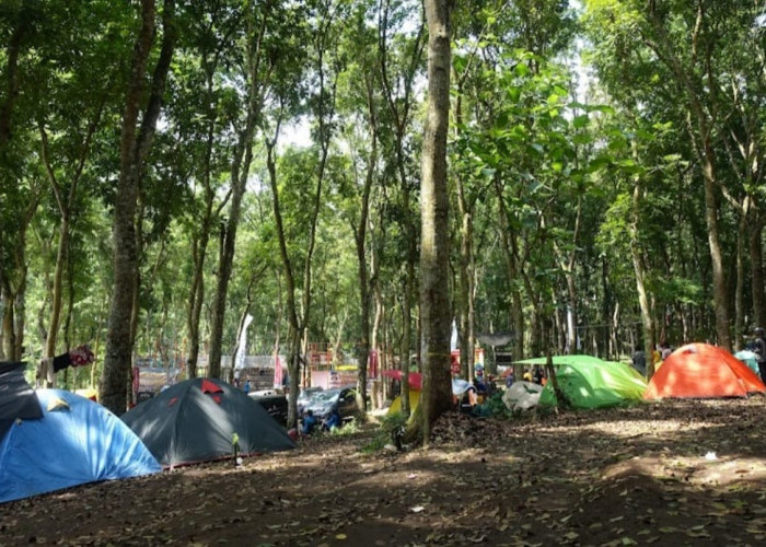 Dam Londo, Destinasi Wisata yang Asyik dan Ramah di Kantong 