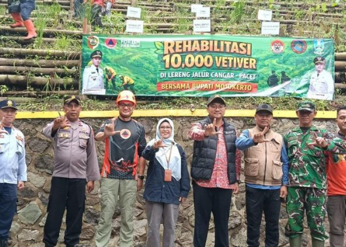 Cegah Longsor Lagi, Ribuan Rumput Vetiver Ditanam di Kawasan Hutan Tahura R Soerjo Mojokerto 