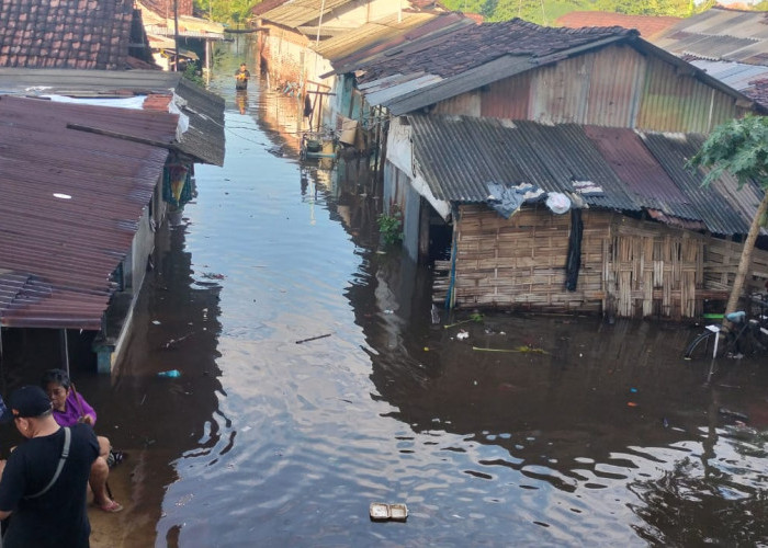 Banjir di Kota Mojokerto Meluas, 4 Kelurahan Terdampak