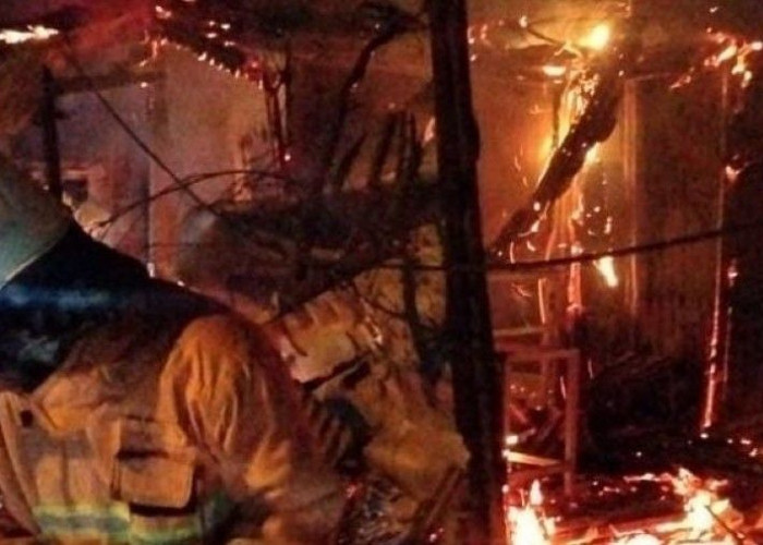 92 Kebakaran Terjadi di Mojokerto dalam Tiga Bulan, Lahan Terbakar Hampir Setiap Hari