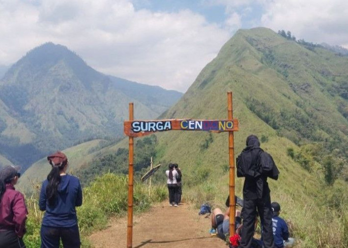 Puncak Cendono,  Surga Tersembunyi di Lereng Gunung Arjuno-Welirang