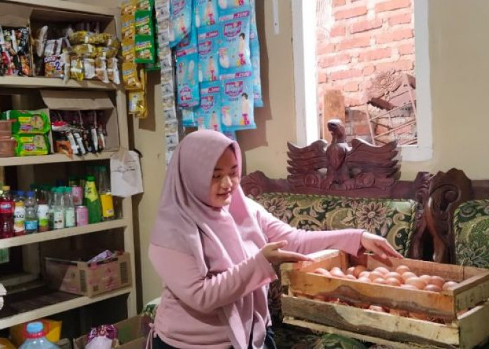 Harga Telur Naik Turun, Pembeli Tetap Datang: 