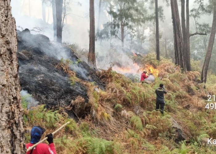 Antisipasi Karhutla Susulan Gunung Welirang Mojokerto, Dua Posko Siaga di Pacet dan Trawas 
