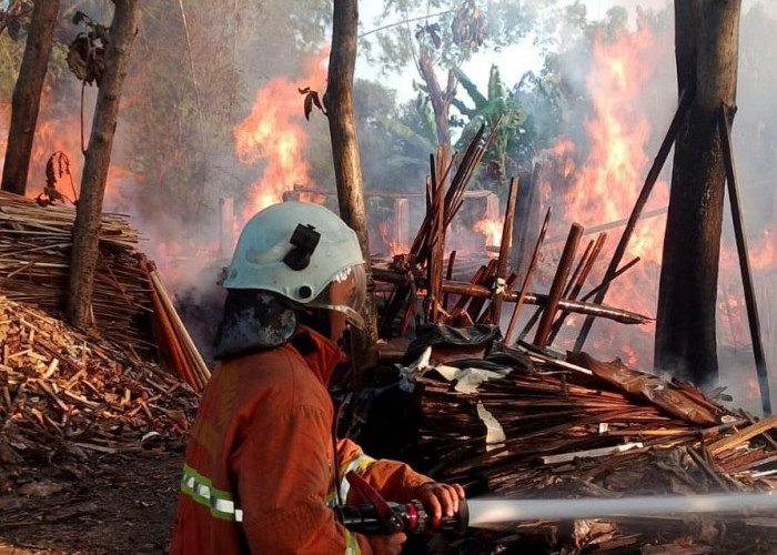Gudang Kayu di Kutorejo Mojokerto Ludes Terbakar, Tiga Unit Damkar Berjibaku Selama Tiga Jam