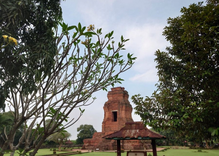 Struktur Batu Bata Diduga Struktur Bangunan Pagar Candi Brahu Mojokerto Berhasil Ditampakkan, Kondisi Banyak R