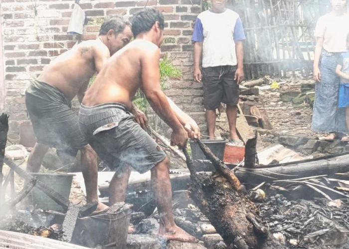 Kandang Kambing di Kutorejo Mojokerto Ludes Terbakar, Dua Ekor Mati Terpanggang