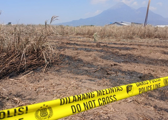 Lahan Tebu Sumber Kebakaran Dipasang Garis Polisi, PT Sun Paper Source Pastikan Operasional Berjalan Normal