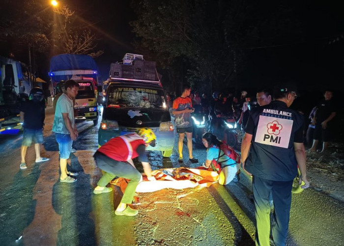 Menyeberang Mendadak di Jalan Gelap, Pejalan Kaki Tewas Ditabrak Pikap di Bangsal Mojokerto