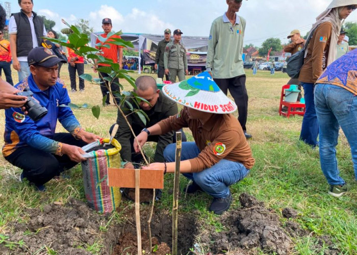 Dari Dapur Rumah hingga Penanaman Pohon, Pemkab Mojokerto Ajak Warga Lawan Krisis Iklim dengan Aksi Sederhana