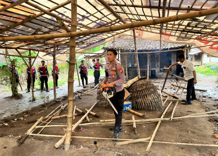 Resahkan Masyarakat, Arena Judi Sabung Ayam di Kutorejo Mojokerto Dibongkar Petugas