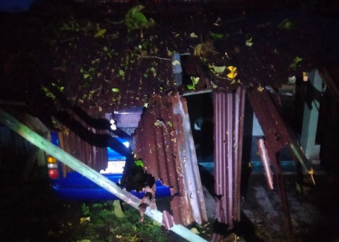 Pohon Jati Tumbang Timpa Rumah dan Mobil di Mojokerto 