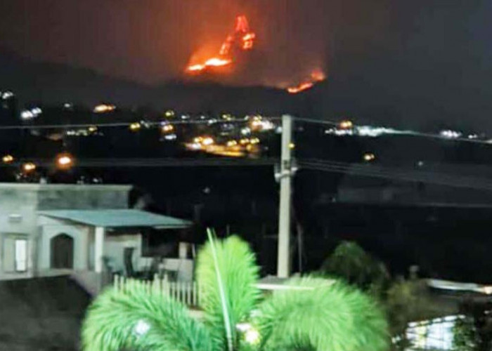 Karhutla Kembali Terjadi di Kawasan Gunung Anjasmoro 